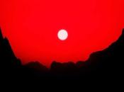 Bush More than machines (2022)