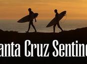 Radical Program Democratic Socialists Santa Cruz Sentinel