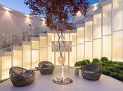 Patios Minimalistas