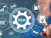 Tipos Cadenas Suministro. Por: Francesco Lovaglio Tafuri.