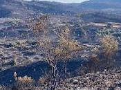 incendio bejís