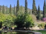 Jardín Botánico-Histórico Málaga: oasis vegetal orillas Guadalmedina