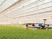 drones como esperanza agricultores futuro