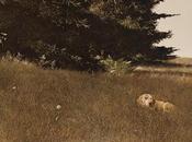 señor mayor sillón orejas