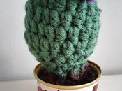 Cactus forty