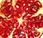 granada: fruta antioxidante otoño