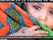 millones hambrientos