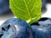 Descubra potente antioxidante natural: arándanos