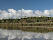 Estuário Sado