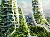 ¿Cual diferencia entre proindiviso condominio?