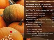 Llega Feria Calabaza Igüeña participación ejemplares desde diferentes puntos península