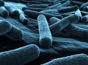 Nuevo superantibiótico capaz matar bacterias superresistentes