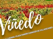 Ruta calidad Viñedo celebra octubre nuevo itinerario visita Castro Ventosa