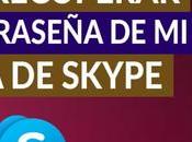 Cómo recuperar cuenta Skype