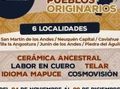 Capacitaciónes Pueblos Originarios