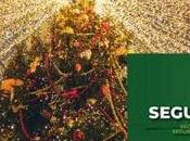 Tendrá Festival Navideño 2022 efectivo despliegue coordinado seguridad