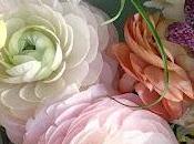 5.287 rosa blanca...