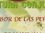 Recordatorio: Lectura conjunta sabor pepitas manzana'