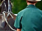 Emprendiendo estilo Amish