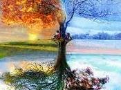 "Quiero VIDA", carta donante órganos