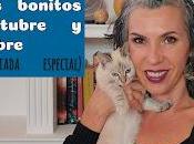 Detalles bonitos Octubre Noviembre.