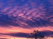 🍇Amanece poco🍇