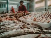 Operativo “cuaresma segura 2022” mercado viga nueva