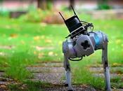 Tefi, primer perro guía robótico.