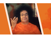 diez principios rectores