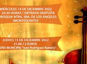 Concierto Extraordinario Navidad “Orquesta Camerata Austriaca Linz”