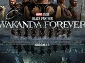 Black Panther: Wakanda Forever