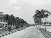 Avenida Balboa, Ciudad Panamá 1950