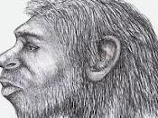 Neandertales
