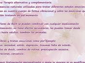 ¿Que Flores Bach?