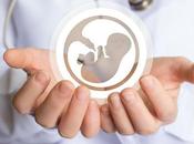 Embriones útero trabajan equipo para éxito reproducción asistida