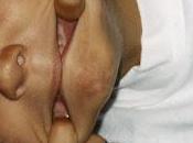 Paloma estrenan Tiré piedra aire