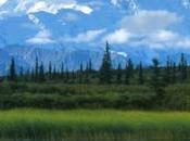 Parques nacionales estados unidos