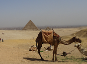 Viaje Egipto: pirámides, esfinge, Menfis Saqqara