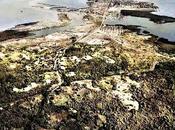 Ciudad Colón 1936