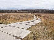 antepasado (Gran Colisionador Hadrones)