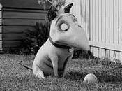 Frankenweenie viento popa