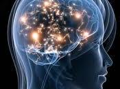 ¿Cómo entrenar cerebro para mejorar calidad vida evitar Alzheimer?