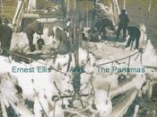 Vida cotidiana lluvia ranas