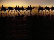 Mercader Caravanas (Reedición)