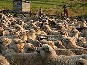 Acorralando trabajo importante