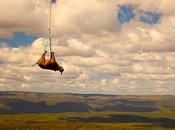 Manada rinocerontes trasladada helicóptero
