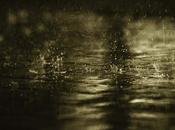 ¡¡¡Menuda lluvia¡¡¡