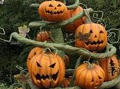 Halloween Samaín