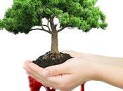 construimos elevándonos encima duele