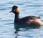 Aves educación ambiental rutas guiadas